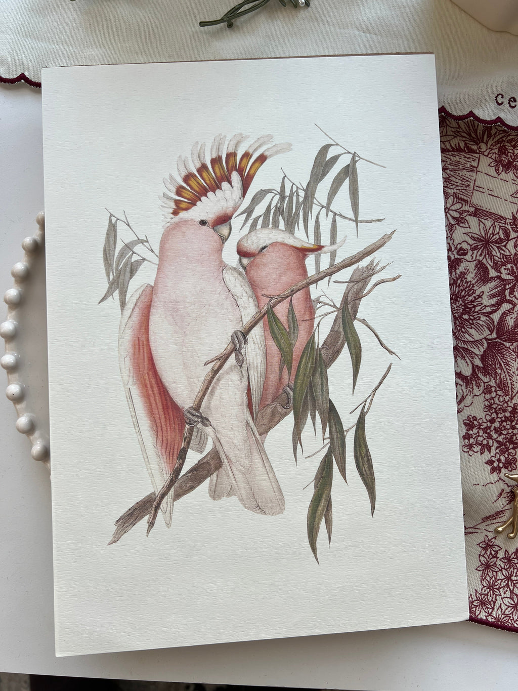 Vintage Botanical Prints A4