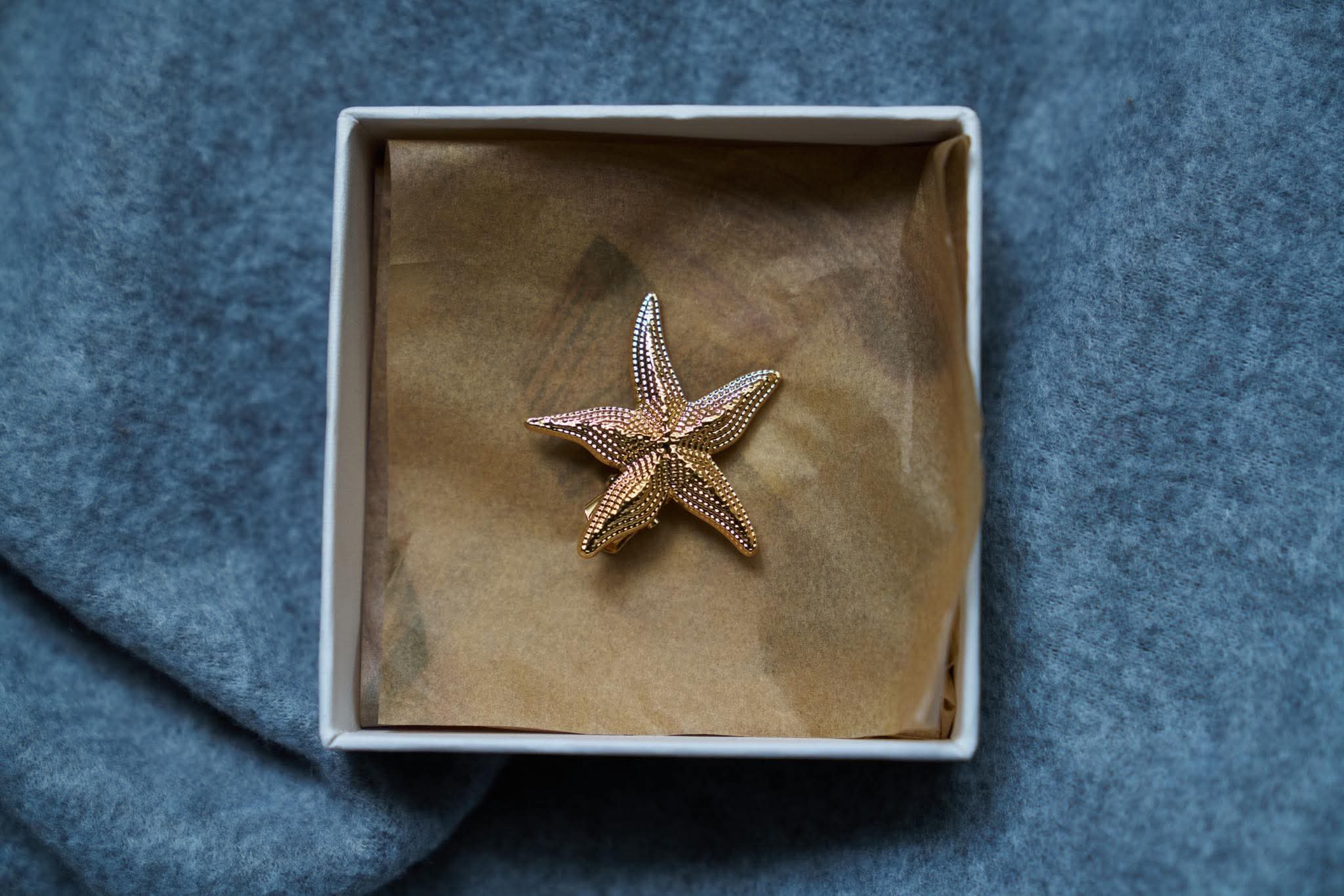 Seashell Hairclips